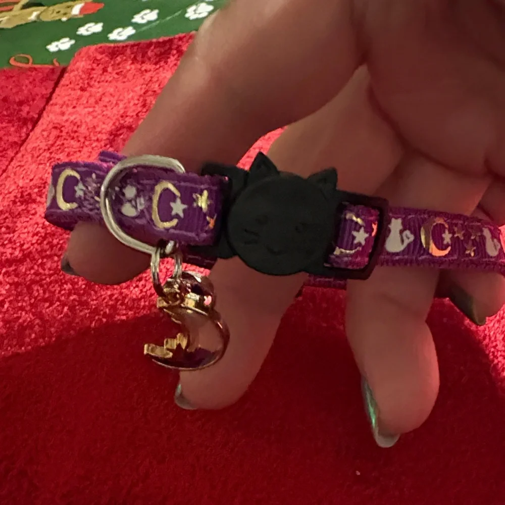 Purple Cat Collar with Moon Charm brand new